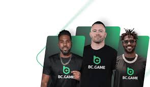 How to Successfully Navigate the BC.Game Registration Process